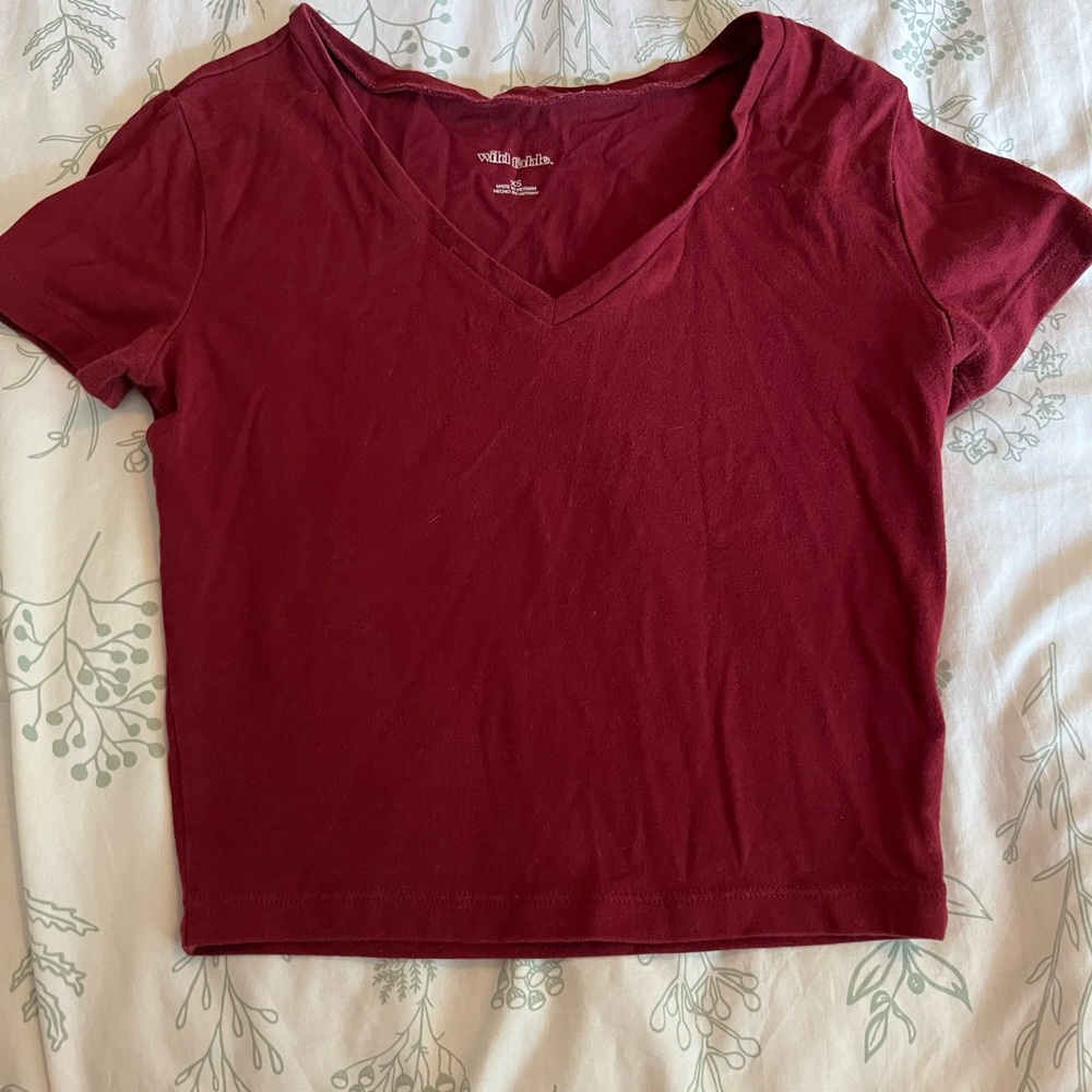 Wildfable V-neck crop top